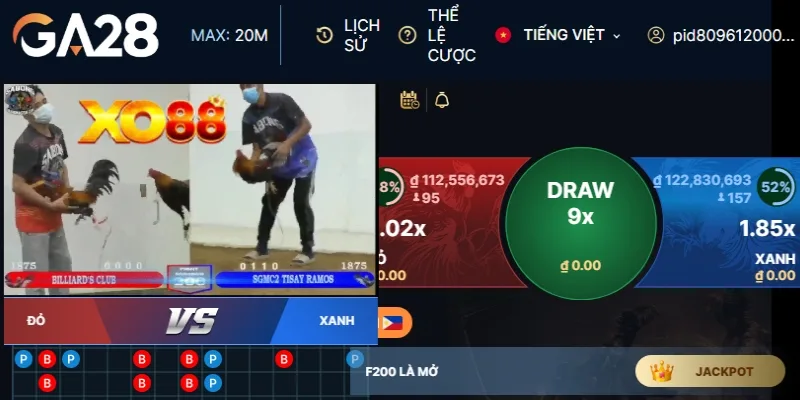 Đá gà XO88 đa dạng loại hình, phát trực tiếp từ sới gà Campuchia