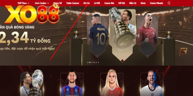 Cách chơi đá gà XO88 siêu đơn giản chỉ với 4 bước